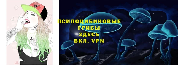 соль ск Алзамай