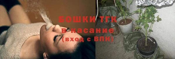 соль ск Алзамай