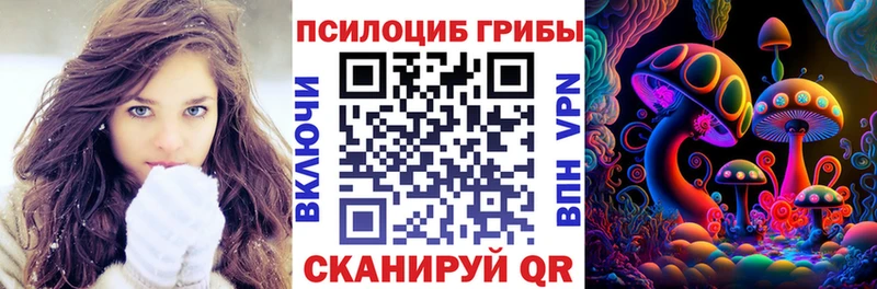 закладки  Порхов  Псилоцибиновые грибы MAGIC MUSHROOMS 